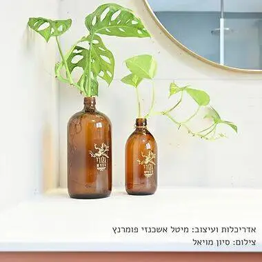 ייחור והשרשה של פוטוס במים בקלות