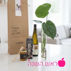 מארז שנה של צמיחה